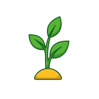 Medicinal plant used in Chinese herbal medicine